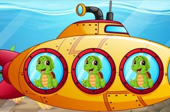 Which Sea Creature Looks Different